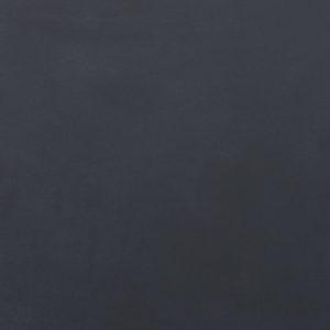 BM6001